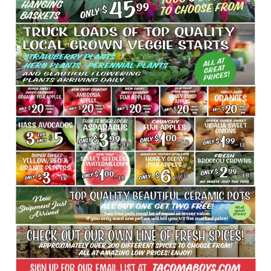 tacoma boys weekly ad example