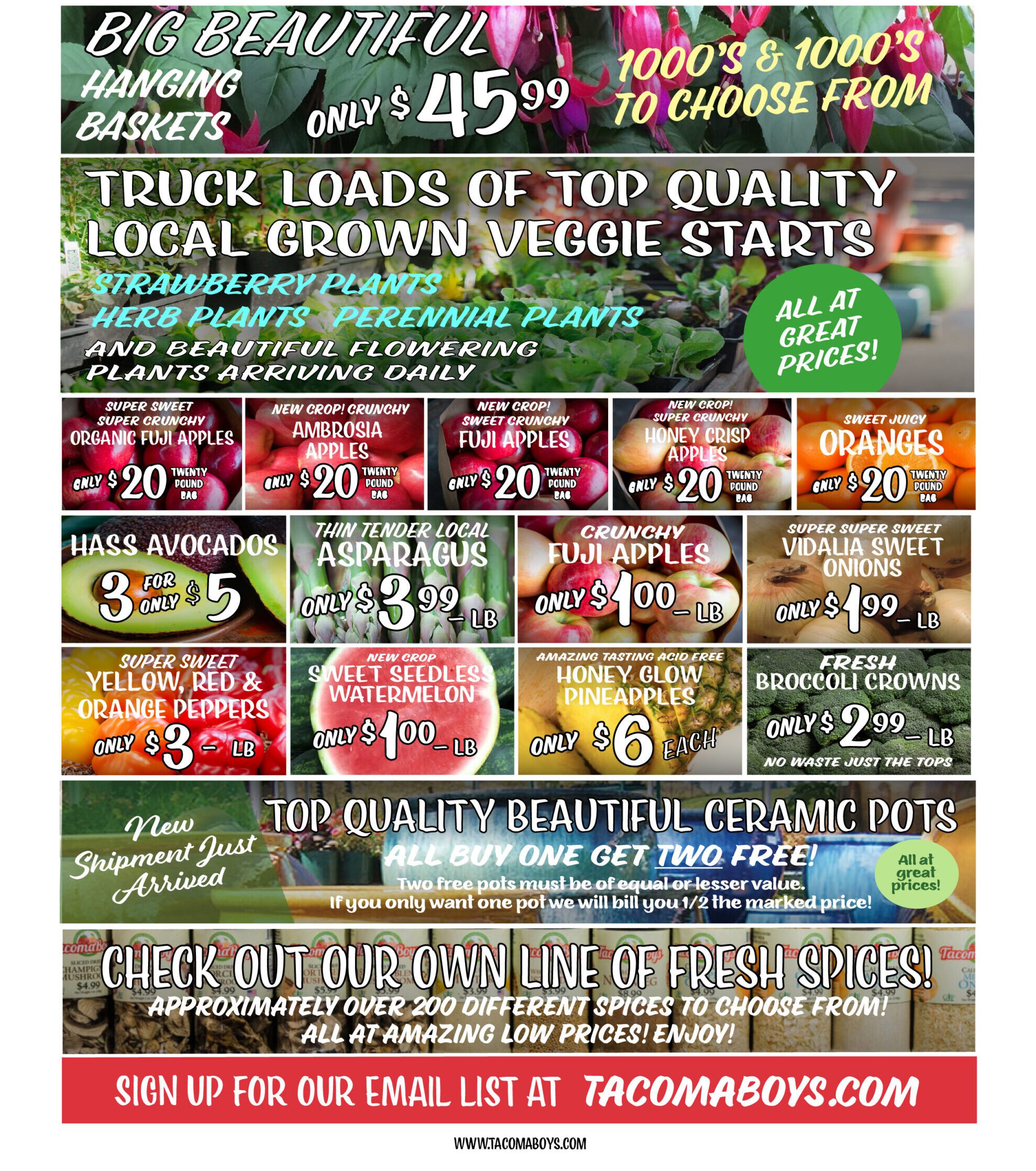 tacoma boys weekly ad example